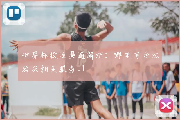 世界杯投注渠道解析：哪里可合法购买相关服务_1
