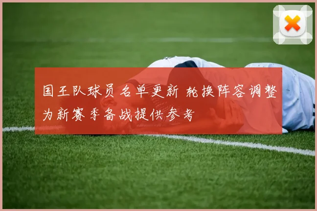 国王队球员名单更新 轮换阵容调整为新赛季备战提供参考