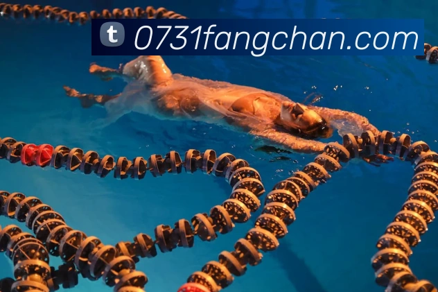 世界杯系列活动策划出炉 赛事周边与观赛互动亮点提前公布
