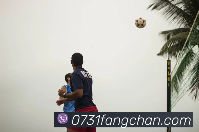 奖项图2